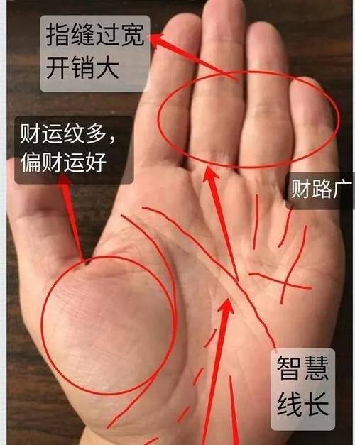 偏财运最好的手相特征