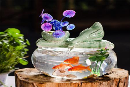 大海水命家里适合摆放什么