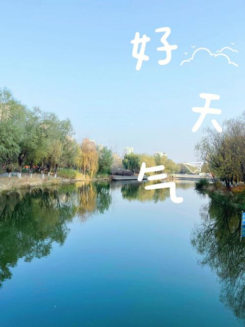与众不同的宠物泰迪名字大全就是不一样