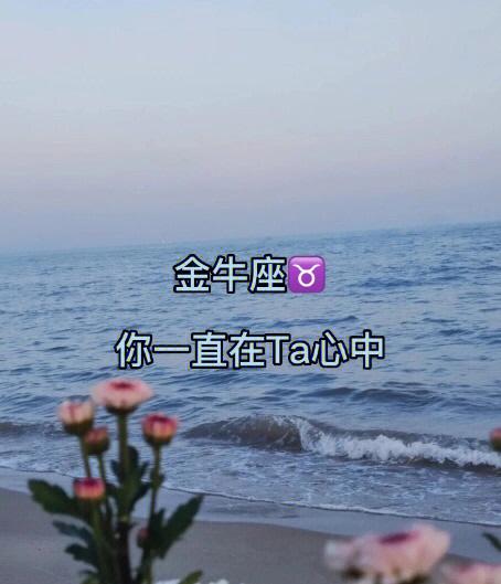 金牛座心中遥远的地方在哪里