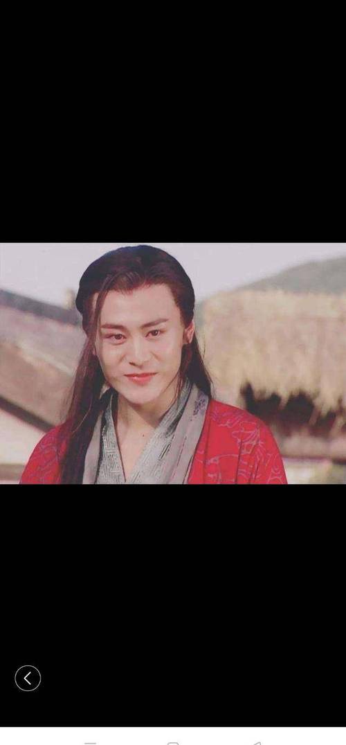 紫微人物评说-巨门林平之