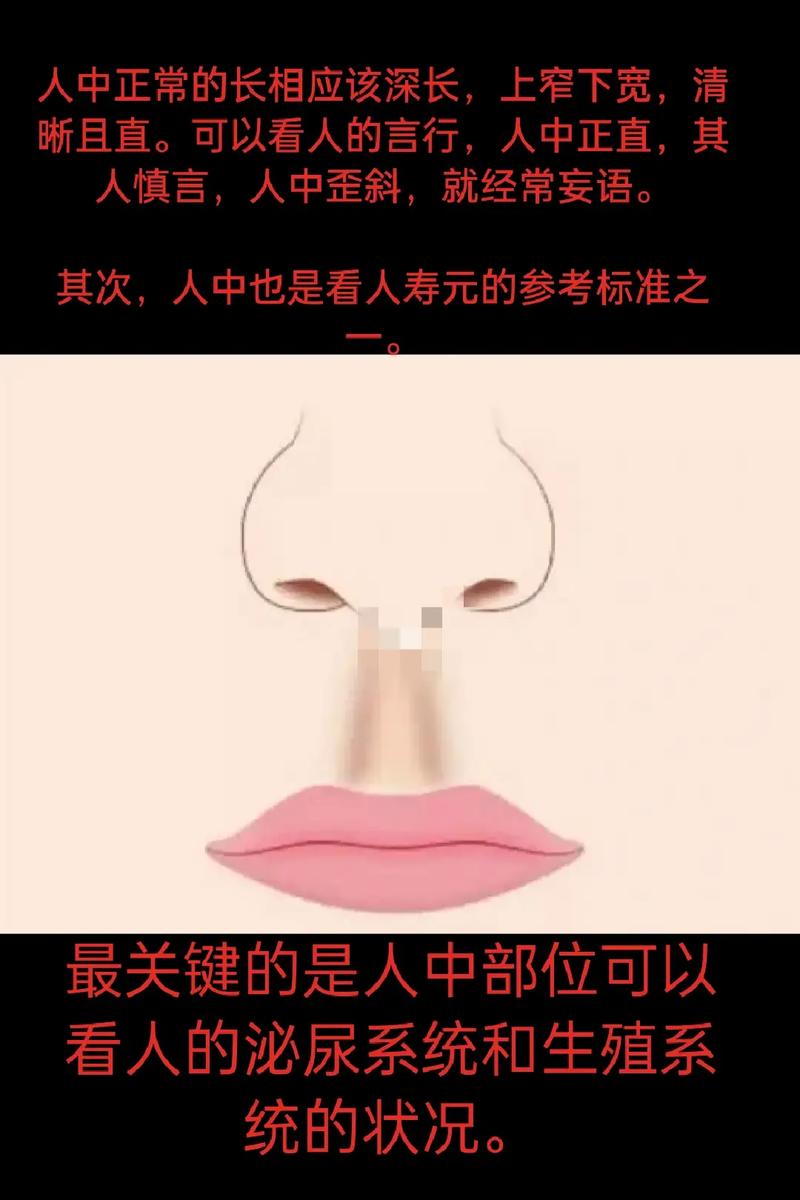 人中在哪 通过人中可以反映出什么