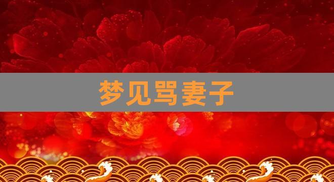 梦见骂妻子