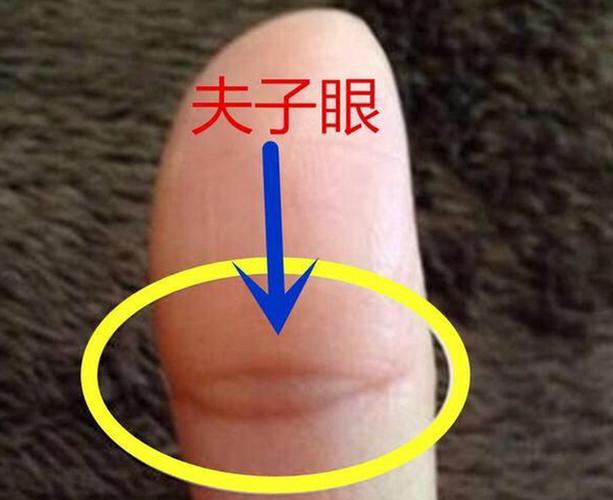 夫子眼越大越好吗