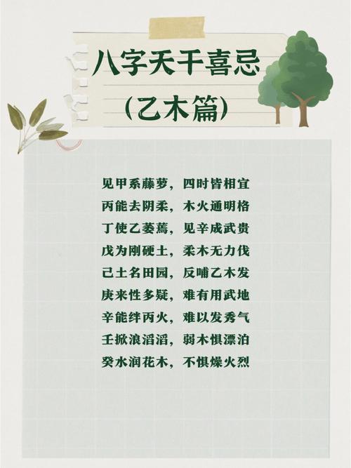 乙木适合去哪个方向发展