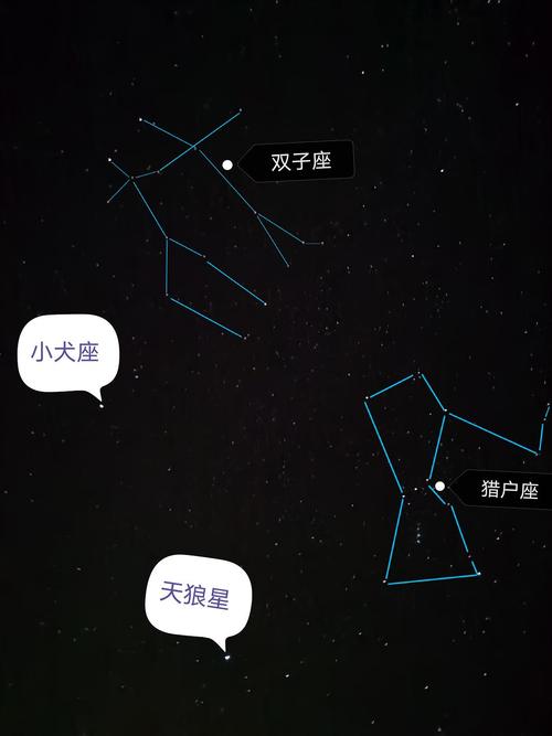 与猎户座相邻的星座是