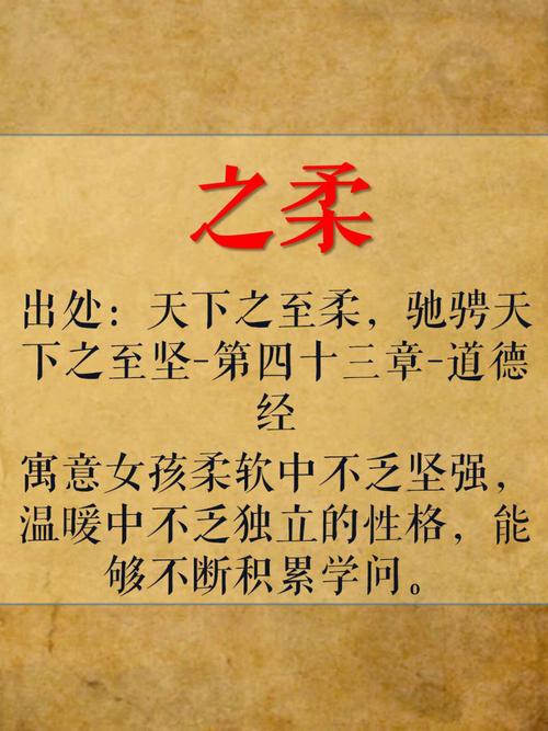 中间带有仁字阳光温柔女孩名字
