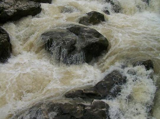 梦见河水湍急很清澈