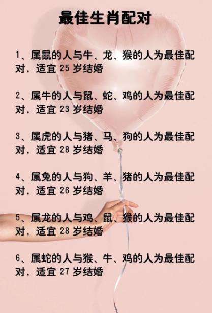 生意合财的生肖配对