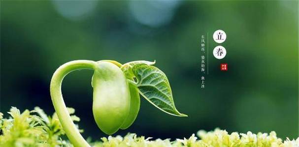 2021年3月12日植树节出生的女孩五行什么命