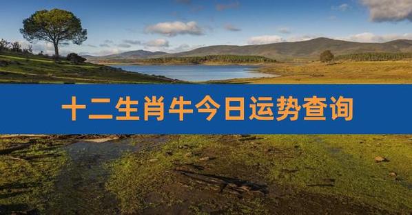 属牛2021年有没有偏财运