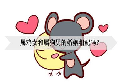 女狗男鸡婚姻相配吗?属鸡男的性格是什么样的?