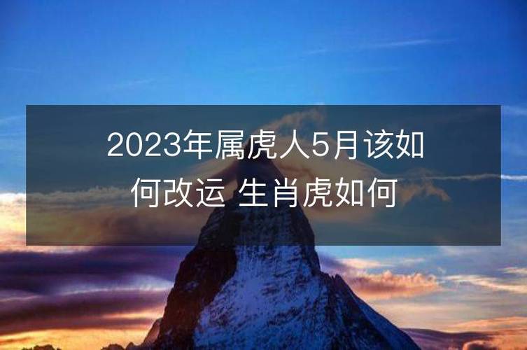 属虎的人运气不好应该如何改运