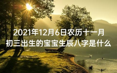 2021年十一月二十三出生的婴儿在线算八字