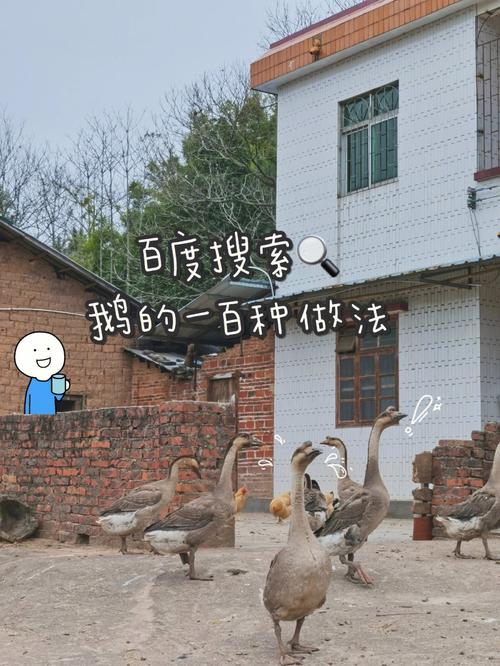 做梦被牛追是什么意思