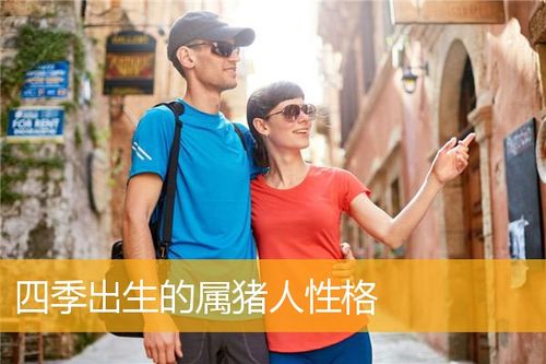 属猪的人跟什么性格的人比较合拍