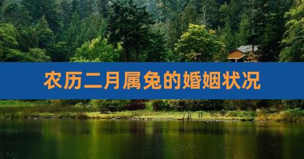 2022年属兔人婚姻状况
