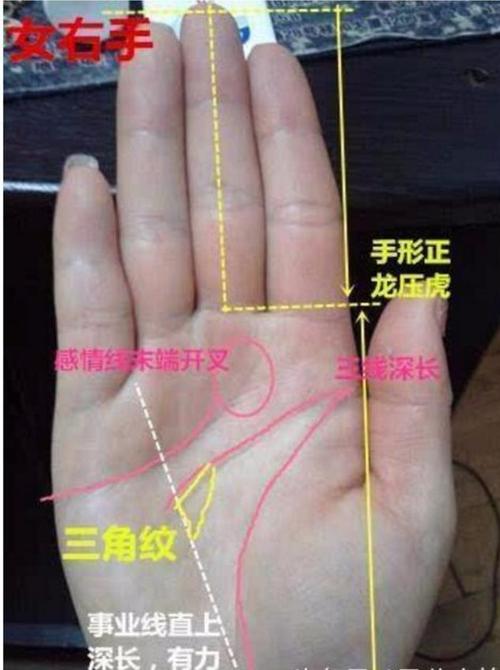手相图解 手背有四个小富贵窝