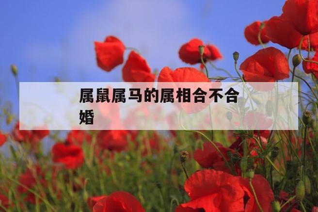 哪些生肖对婚姻忠贞不二