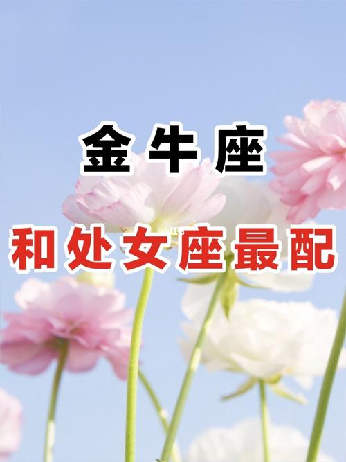 交往中气势总是强于对方的星座女