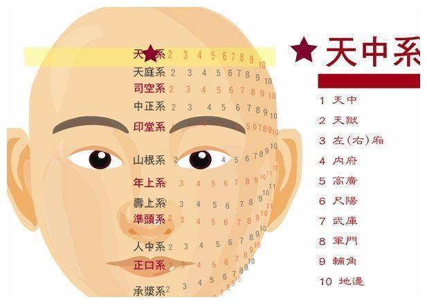 男人脸上哪个地方有痣事业会很成功呢