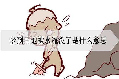 孕妇梦见田里好多水是啥意思