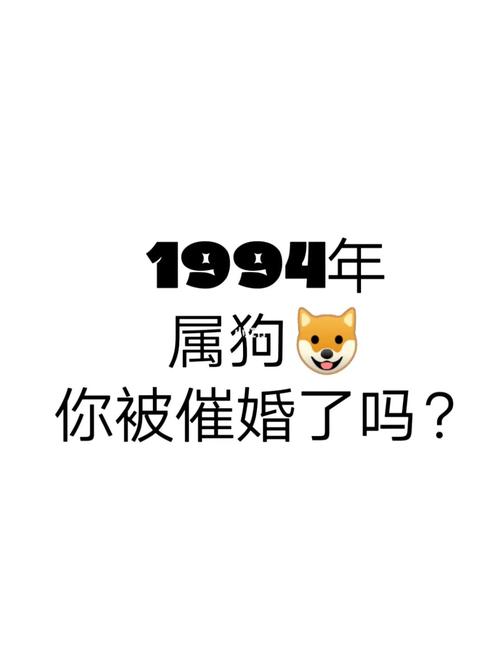 属狗爸妈放弃催婚的原因是什么
