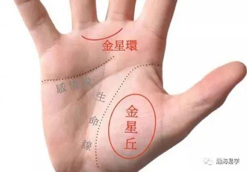 手相螺旋纹在金星丘