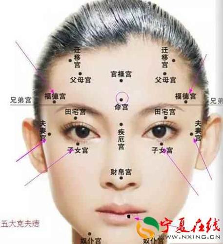 天仓有痣能生多个贵子