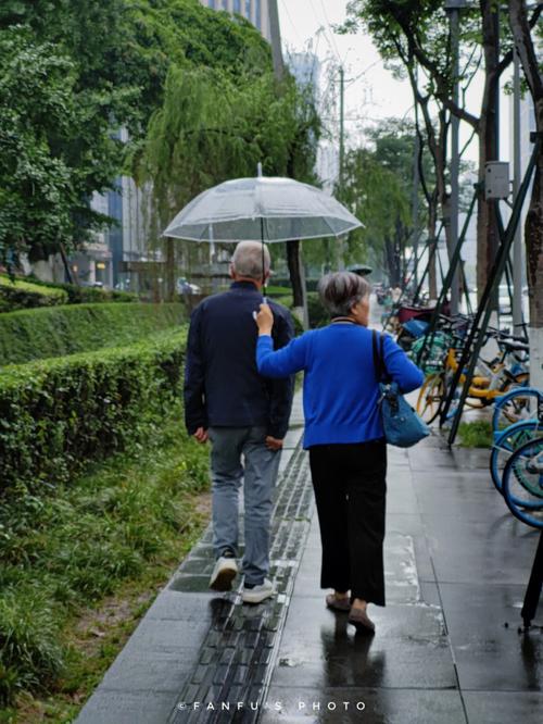 梦见下雨天工作