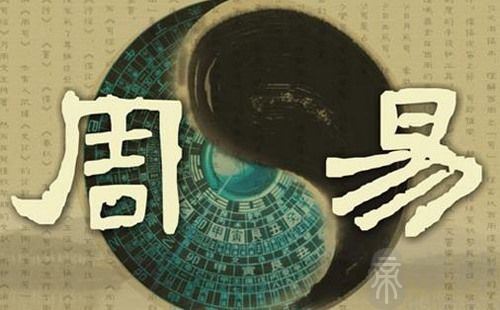分析什么八字的人利求官