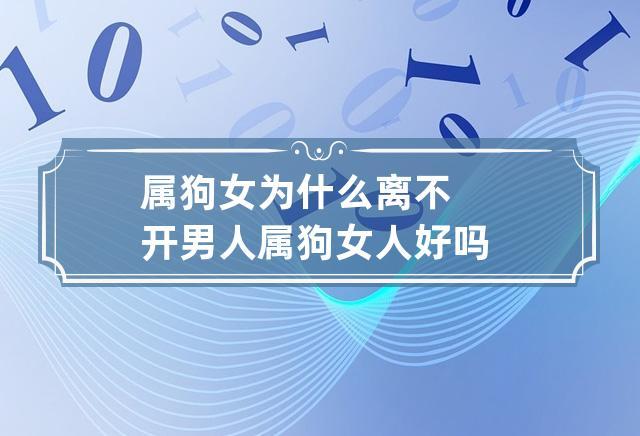 属狗女生为什么会弄丢对自己好的人