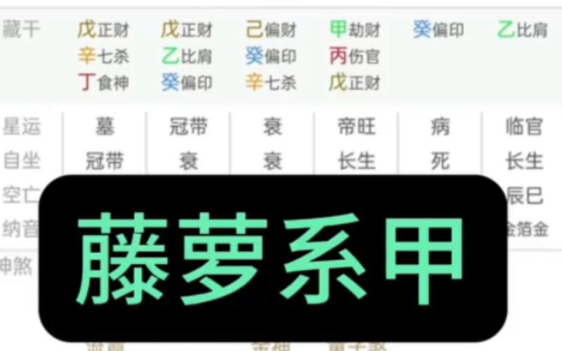 八字藤萝系甲格局