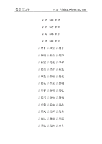 含吕字的男孩名字