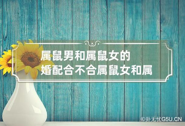 属鼠配鼠的婚姻好不好