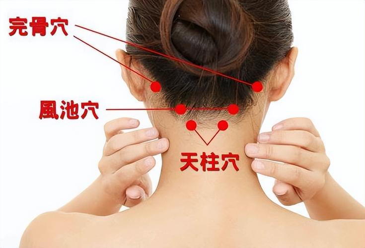 风池的作用与好处,治疗失眠效果超好