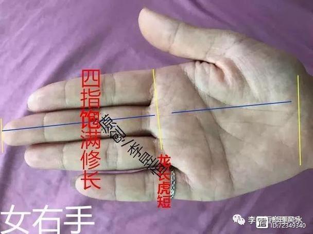 从手掌厚薄看人的性格