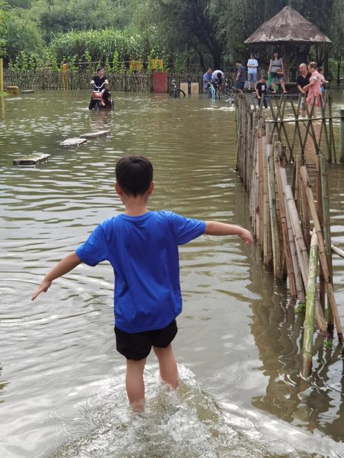 梦见下雨涨水是什么意思