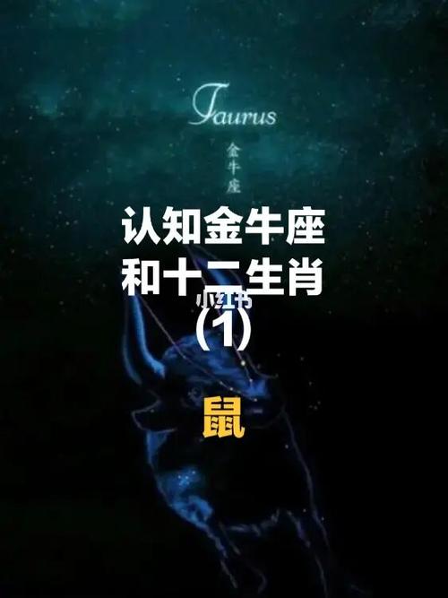 属鼠的金牛座男生性格