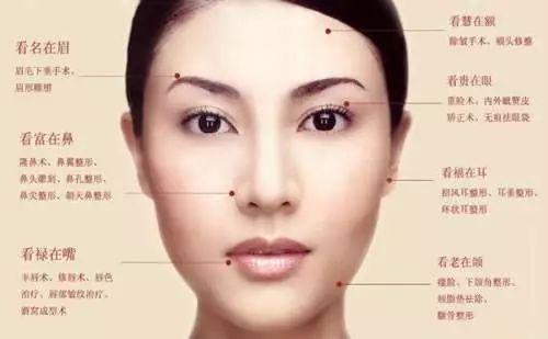 女人六种鼻子好命图解