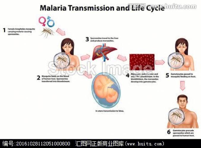 梦见虐疾周公解梦,梦见虐疾是什么意思?