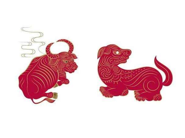 73年牛和82年狗的属相合不合