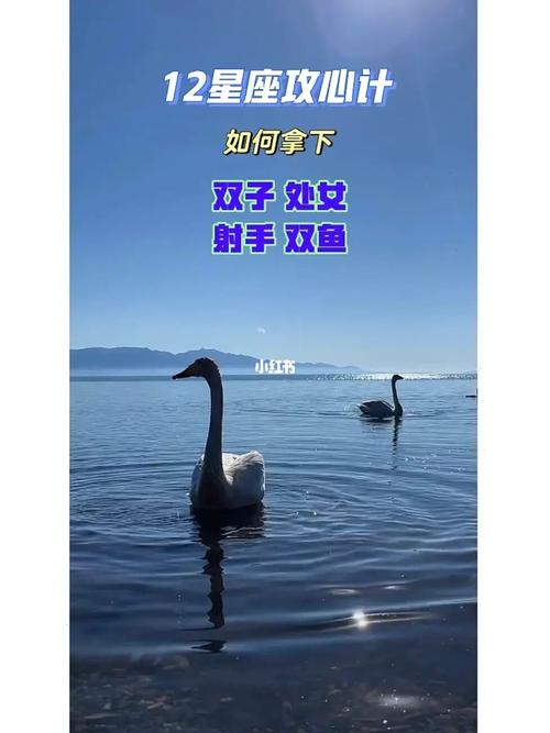 观念传统的变动星座:双子、双鱼、处女、射手