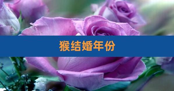2019年属猴结婚大利月