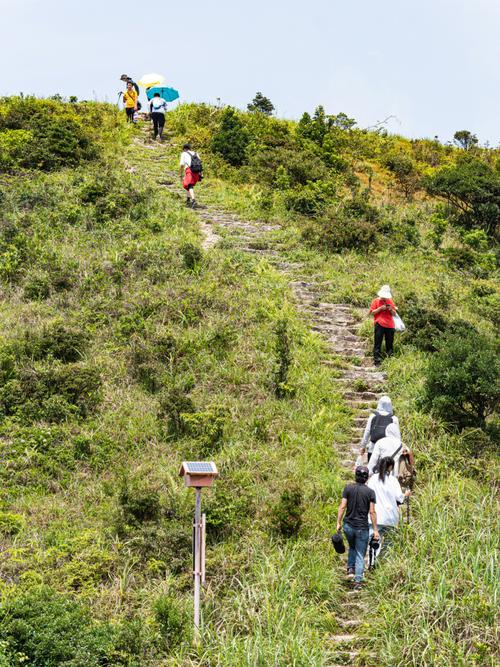 梦见自己爬很高很陡的山峰是什么意思