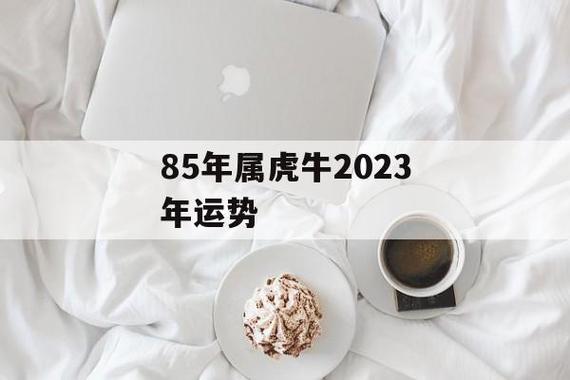 属牛人虎年运势