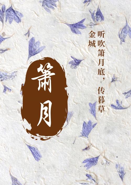 带泊字好听的女孩名字