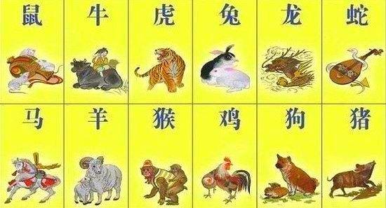 梦见自己的属相