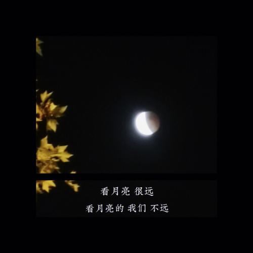 缘分与桃花笑着翻篇