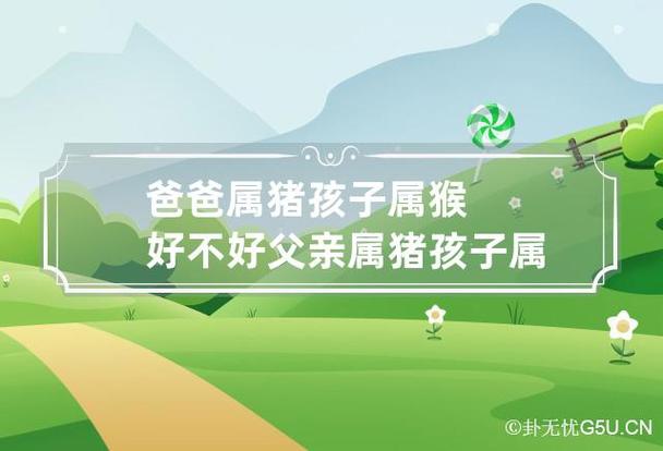 爸爸属猪孩子属猴好吗